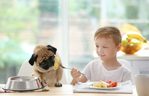 Szénhidrátforrások